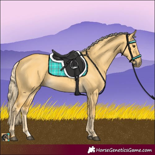 Horse Color:Palomino Dun 