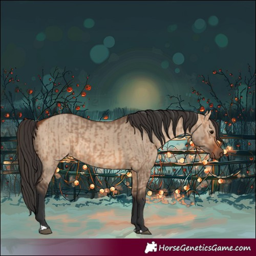 Horse Color:Bay Dun  and Bay Dun 
