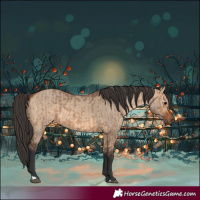 Horse Color:Bay Dun  and Bay Dun 