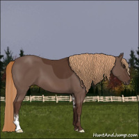 Horse Color:Liver Chestnut Sabino 