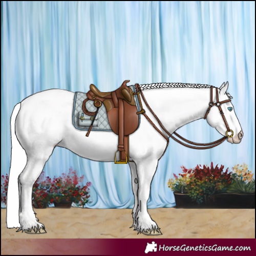 Horse Color:Cremello Dun 