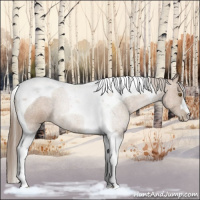 Horse Color:Black Pearl Tobiano 