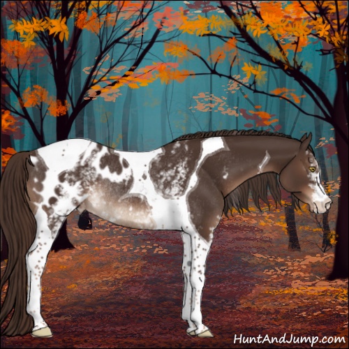 Horse Color:White Spotted Liver Chestnut Tobiano Appaloosa Rabicano 