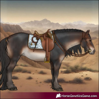 Horse Color:Brown 