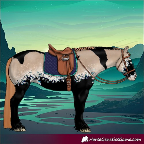 Horse Color:White Spotted Liver Red Dun Tobiano Rabicano 