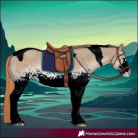 Horse Color:White Spotted Liver Red Dun Tobiano Rabicano