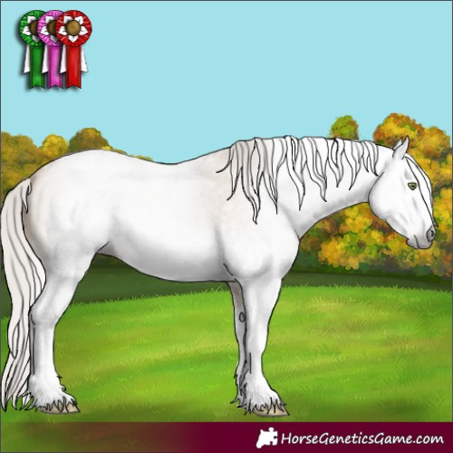 Horse Color:Gray White Spotted Silver Amber Champagne Roan Dun Rabicano 