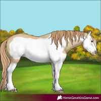 Horse Color:Watercolor Red Dun Splash Frame