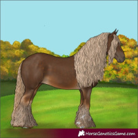 Horse Color:Chocolate Palomino 