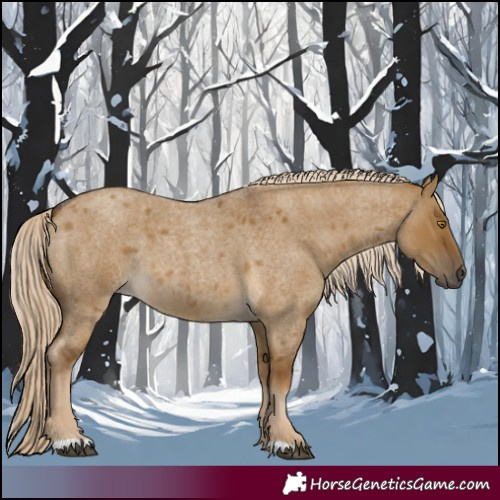 Horse Color:Chocolate Palomino Roan Dun 
