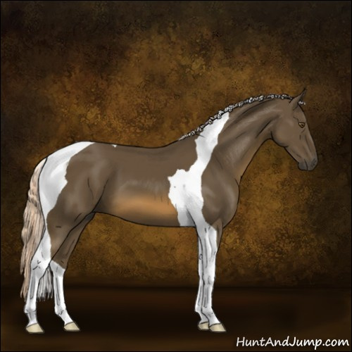 Horse Color:Chocolate Palomino Tobiano