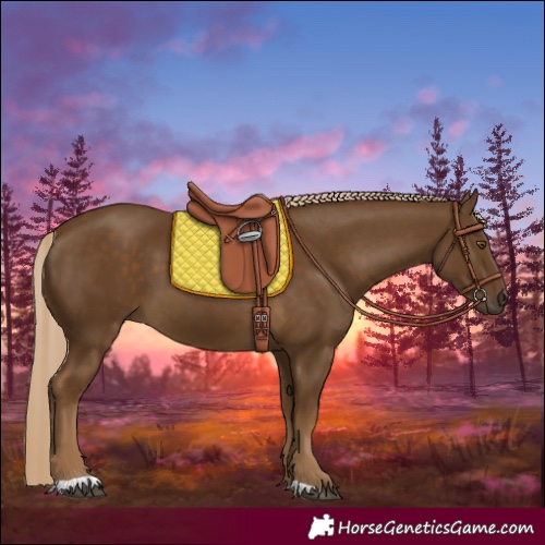 Horse Color:Chocolate Palomino 