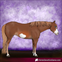 Horse Color:Chestnut Frame 