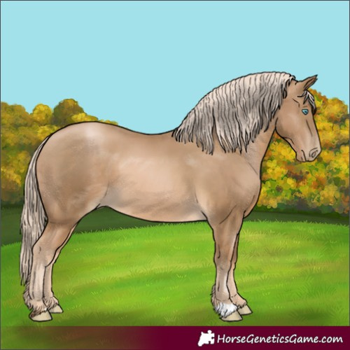 Horse Color:Chocolate Palomino Pearl