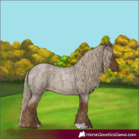 Horse Color:Chocolate Palomino Roan 