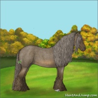 Horse Color:Chocolate Palomino Roan 