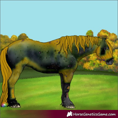Horse Color:ERROR: UNKNOWN ANOMALY