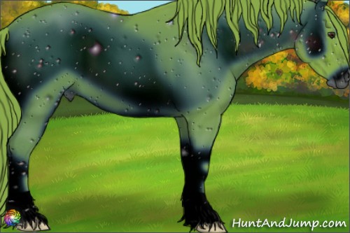 Horse Color:ERROR: UNKNOWN ANOMALY