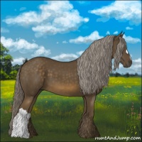 Horse Color:Chocolate Palomino 