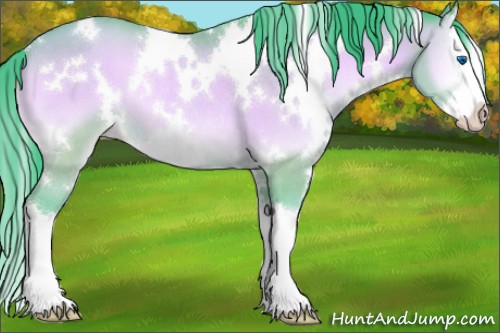 Horse Color:Watercolor White Spotted Amber Champagne Onyx Sabino Splash Rabicano 