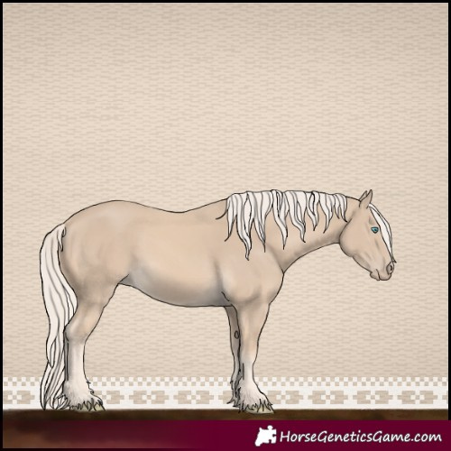 Horse Color:Cremello 