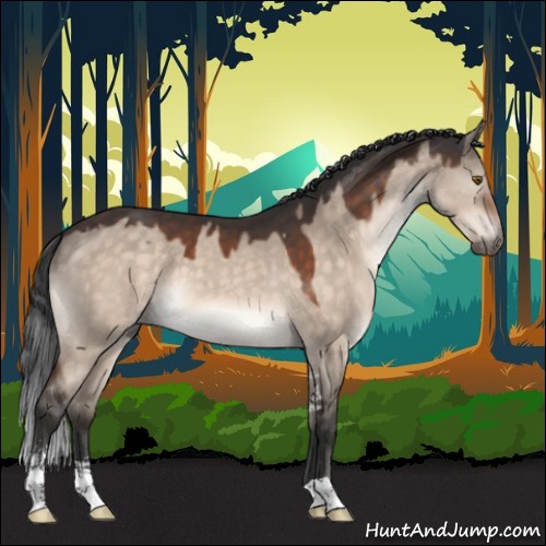 Horse Color:Brown Dun Mushroom Sabino