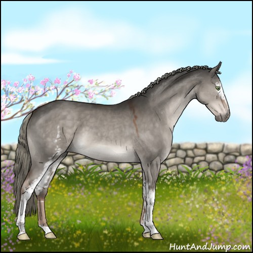 Horse Color:White Spotted Liver Red Dun Mushroom