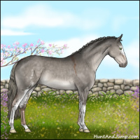 Horse Color:White Spotted Liver Red Dun Mushroom 