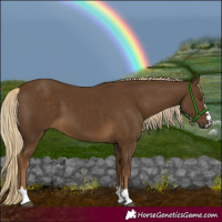 Horse Color:Chocolate Palomino 
