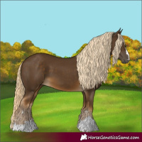 Horse Color:Chocolate Palomino 