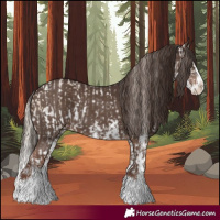 Horse Color:White Spotted Chocolate Palomino Pearl Dun Splash Frame and White Spotted Liver Chestnut Splash