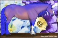 Horse Color:Watercolor Bay 