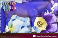 Horse Color:Watercolor Bay 
