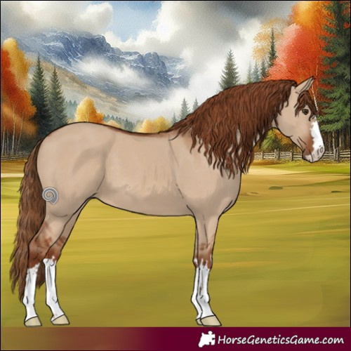 Horse Color:Red Dun