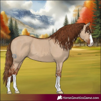 Horse Color:Red Dun 