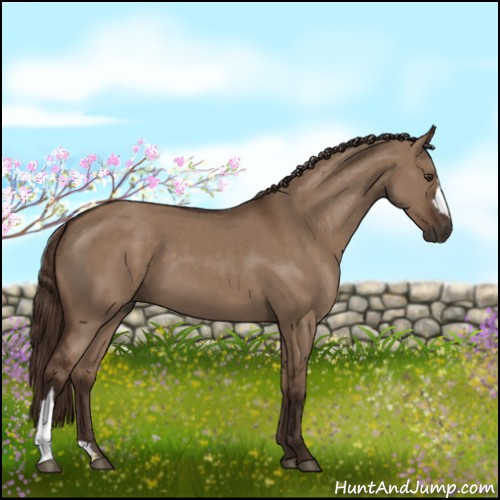 Horse Color:Liver Red Dun 