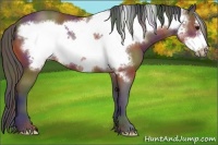 Horse Color:Nacre Bay Frame 