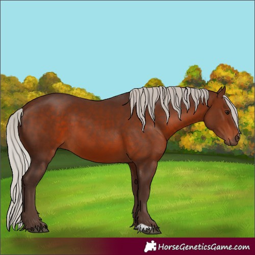 Horse Color:Silver Brown 