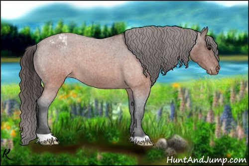 Horse Color:Brown Roan Appaloosa