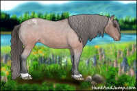 Horse Color:Brown Roan Varnish 