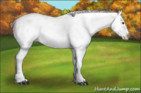 Horse Color:Bay Dun Tobiano Snowcap