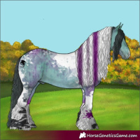Horse Color:Bay Chinchilla Dun Tobiano Brindle 