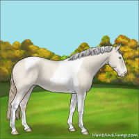 Horse Color:Smoky Creme Dun Tobiano 