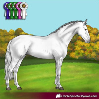 Horse Color:Gray Silver Brown Dun Sabino Rabicano 