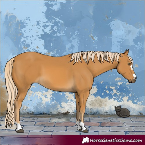 Horse Color:Palomino 