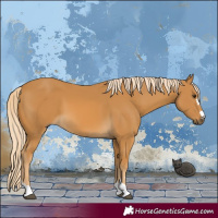 Horse Color:Palomino 