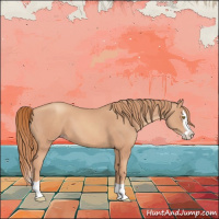 Horse Color:Gold Champagne Splash 
