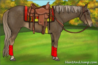 Horse Color:Chocolate Palomino 