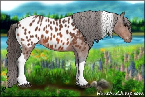 Horse Color:Bay Roan Tobiano Blanket