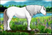 Horse Color:Red Roan Splash Appaloosa